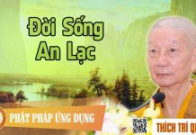 Đời Sống An Lạc – Thích Trí Quảng doi song an lac thich tri quang