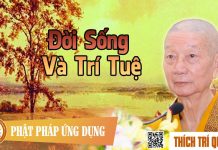 Đời Sống Và Trí Tuệ – Thích Trí Quảng doi song va tri tue thich tri qu