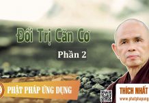 Đối Trị Căn Cơ Phần 2 – Thích Nhất Hạnh doi tri can co phan 2 thich nhat