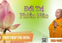 Đối Trị Phiền Não – Thích Phước Tiến doi tri phien nao thich phuoc ti