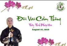 Đôi Vai Cảm Thông – Thích Pháp Hòa doi vai cam thong thich phap hoa