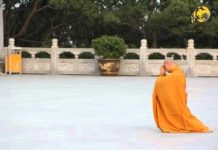 Đôi Vai Gánh Vác – Thích Pháp Hòa doi vai ganh vac thich phap hoa