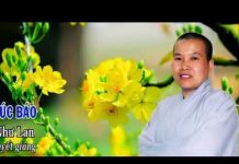 Đón Xuân Đón Phúc Báo – Thích Nữ Như Lan don xuan don phuc bao thich nu n