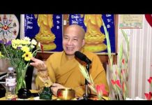 Dòng Nghiệp – Thích Trí Huệ dong nghiep thich tri hue