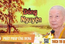 Đồng Nguyện – Thích Trí Quảng dong nguyen thich tri quang