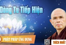 Dòng Tu Tiếp Hiện – Thích Nhất Hạnh dong tu tiep hien thich nhat han