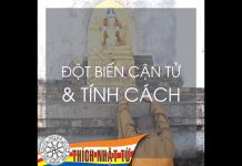 Đột biến cận tử và tính cách – Thích Nhật Từ dot bien can tu va tinh cach thi