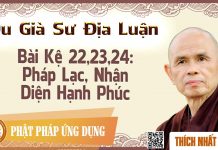 Du Già Sư Địa Luận – Bài Kệ 22,23,24: Pháp Lạc, Nhận Diện Hạnh Phúc – Thích Nhất Hạnh du gia su dia luan bai ke 222324