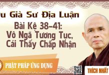 Du Già Sư Địa Luận – Bài Kệ 38-41: Vô Ngã Tương Tục, Cái Thấy Chấp Nhận – Thích Nhất Hạnh du gia su dia luan bai ke 38 41