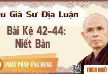 Du Già Sư Địa Luận – Bài Kệ 42 – 44: Niết Bàn – Thích Nhất Hạnh du gia su dia luan bai ke 42 44