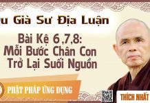 Du Già Sư Địa Luận – Bài Kệ 6,7,8: Mỗi Bước Chân Con Trở Lại Suối Nguồn – Thích Nhất Hạnh du gia su dia luan bai ke 678 mo