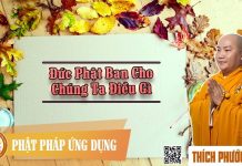 Đức Phật Ban Cho Chúng Ta Điều Gì – Thích Phước Tiến duc phat ban cho chung ta dieu g