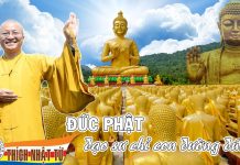 Đức Phật – Đạo Sư Chỉ Con Đường Đúng – Thích Nhật Từ duc phat dao su chi con duong du