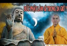 Đức Phật Làm Gì Trong 24 Giờ – Thích Thiện Tuệ duc phat lam gi trong 24 gio thi