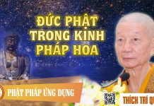 Đức Phật Trong Kinh Pháp Hoa – Thích Trí Quảng duc phat trong kinh phap hoa thi