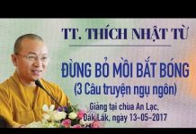 Đừng Bỏ Mồi Bắt Bóng (3 Câu Truyện Ngụ Ngôn) – Thích Nhật Từ dung bo moi bat bong 3 cau truye
