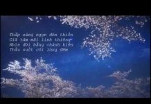 Đừng Đánh Giá Thấp Phiền Não – Thích Minh Niệm dung danh gia thap phien nao thi