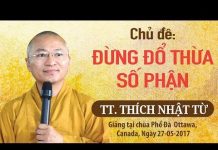 Đừng Đổ Lỗi Cho Số Phận – Thích Nhật Từ dung do loi cho so phan thich nh