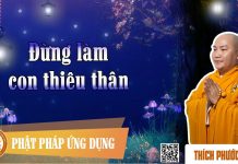 Đừng Làm Con Thiêu Thân – Thích Phước Tiến dung lam con thieu than thich ph