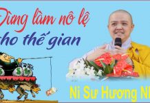 Đừng làm nô lệ cho tham dục của thế gian – Thích Nữ Hương Nhũ dung lam no le cho tham duc cua