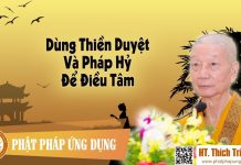 Dùng Thiền Duyệt Và Pháp Hỷ Để Điều Tâm (KT75) – Thích Trí Quảng dung thien duyet va phap hy de d