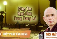 Đừng Tìm Hạnh Phúc Trong Tương Lai – Thích Nhất Hạnh dung tim hanh phuc trong tuong l