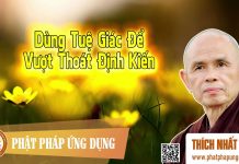 Dùng Tuệ Giác Để Vượt Thoát Định Kiến – Thích Nhất Hạnh dung tue giac de vuot thoat dinh