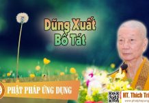 Dũng Xuất Bồ Tát – Thích Trí Quảng 2016 dung xuat bo tat thich tri quang