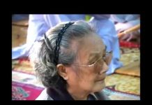 Dược Thảo Dụ Phẩm Thứ 5 Trong Kinh Pháp Hoa – Thích Trí Huệ duoc thao du pham thu 5 trong ki