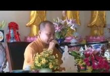 Dưới Cội Bồ Đề – Thích Trí Huệ duoi coi bo de thich tri hue