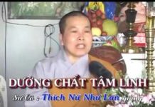 Dưỡng Chất Tâm Linh – Thích Nữ Như Lan duong chat tam linh thich nu nhu