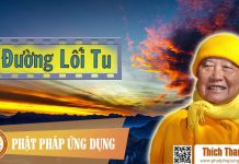 Đường Lối Tu – Thích Thanh Từ duong loi tu thich thanh tu
