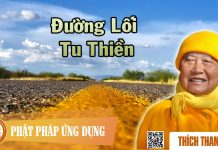 Đường Lối Tu Thiền – Thích Thanh Từ duong loi tu thien thich thanh t