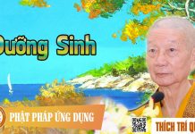 Dưỡng Sinh – Thích Trí Quảng duong sinh thich tri quang