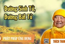 Đường Sinh Tử, Đường Bất Tử – Thích Thanh Từ duong sinh tu duong bat tu thich