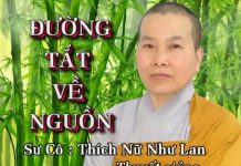 Đường Tắt Về Nguồn – Thích Nữ Như Lan duong tat ve nguon thich nu nhu