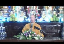 Đường Về Rừng Xiêm Gai phần 1 – Thích Thiện Thuận duong ve rung xiem gai phan 1 th