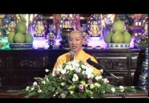 Đường Về Rừng Xiêm Gai phần 2 – Thích Thiện Thuận duong ve rung xiem gai phan 2 th