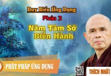 Duy Biểu ứng Dụng: 03. Năm Tâm Sở Biến Hành – Thích Nhất Hạnh duy bieu ung dung 03 nam tam so