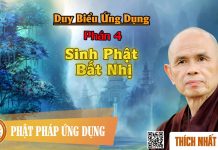 Duy Biểu ứng Dụng: 04. Sinh Phật Bất Nhị – Bài Kệ Thứ 3 – Thích Nhất Hạnh duy bieu ung dung 04 sinh phat b