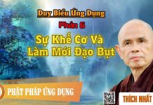 Duy Biểu ứng Dụng: 06. Sự Khế Cơ Và Làm Mới Đạo Bụt – Thích Nhất Hạnh duy bieu ung dung 06 su khe co v