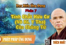 Duy Biểu ứng Dụng: 07. Tính Chất Hữu Cơ (Vô Kí, Y Tha) Của Chủng Tử – Thích Nhất Hạnh duy bieu ung dung 07 tinh chat h