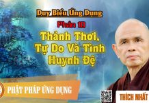 Duy Biểu ứng Dụng: 10. Thảnh Thơi, Tự Do Và Tình Huynh Đệ – Thích Nhất Hạnh duy bieu ung dung 10 thanh thoi
