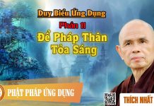 Duy Biểu ứng Dụng: 11. Để Pháp Thân Tỏa Sáng – Thích Nhất Hạnh duy bieu ung dung 11 de phap tha