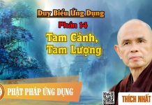 Duy Biểu ứng Dụng: 14. Tam Cảnh, Tam Lượng – Thích Nhất Hạnh duy bieu ung dung 14 tam canh ta