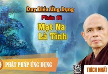 Duy Biểu ứng Dụng: 16. Mạt Na Là Tình – Thích Nhất Hạnh duy bieu ung dung 16 mat na la t