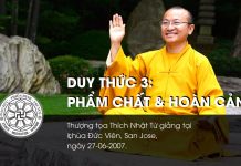 Duy thức 3: Phẩm chất và hoàn cảnh (27-06-2007) – Thích Nhật Từ duy thuc 3 pham chat va hoan can