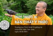 Duy thức 6: Bản chất ý thức (30-06-2007) – Thích Nhật Từ duy thuc 6 ban chat y thuc 30 06