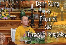 Duy Thức Tam Thập Tụng 05: DANH XƯNG VÀ PHẠM VI CỦA THỨC KHO TÀNG (ALAYA) – Thích Nhật Từ duy thuc tam thap tung 05 danh x