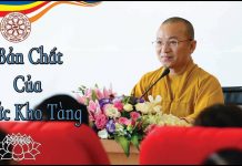 Duy Thức Tam Thập Tụng 06: BẢN CHẤT CỦA THỨC KHO TÀNG (ALAYA) – Thích Nhật Từ duy thuc tam thap tung 06 ban ch